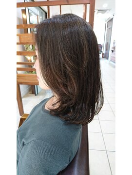 アメリスヘアー(Ameris hair) ミディアム