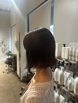 スペックホルダー(Spec Holder) アプリコットオレンジブラウン8.29