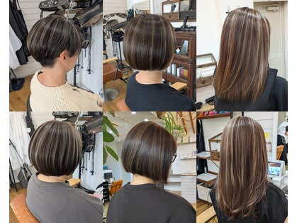 カンシャル(Kanshall)の写真