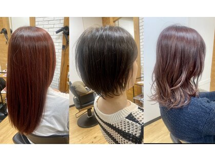 ルーツ ビギン(ROOTS BEGIN)の写真