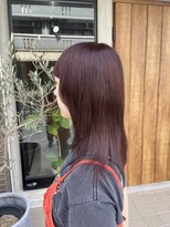 ダーラヘスト(Dalahast)&nbsp;【Dalahast 】red brown