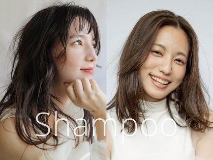シャンプー(Shampoo)の写真