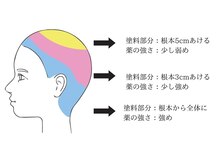クセの特徴別の施術事例を解説します！【事例1：後頭部のボリュームが出にくい方の場合】