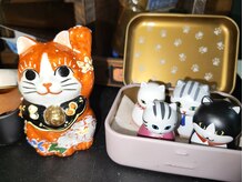 ソントン(SONTON)の雰囲気（そんとんの猫）
