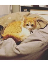 ロコ モーション(LOCO‐MOTION)&nbsp;吉 本