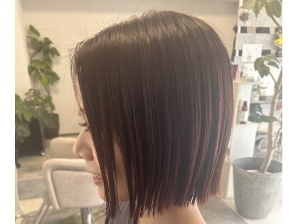 アネラ(anela)の写真