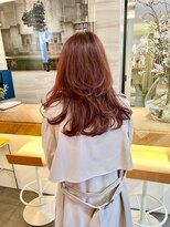 エイゾー(EIZO)&nbsp;レイヤー/レイヤーロング/ゼロテク/ゼロテクカラー/ケアカラー