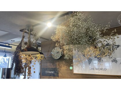 ココアンドワオ(COCO&WOW!)の写真