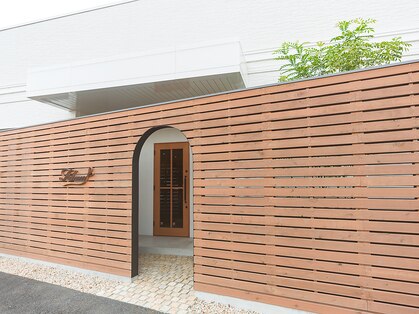 フィールム(Filum)の写真