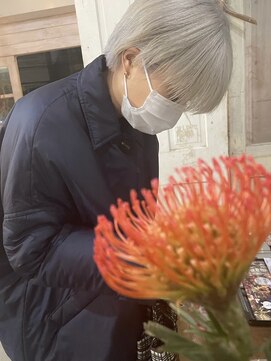 メーヴェ(Mowen) [ ホワイトブロンド ]