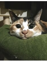 グラバ(graba)&nbsp;持田 隆浩