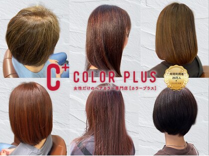 カラープラス 新田塚店の写真