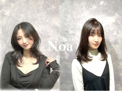 ノア(Noa)の写真