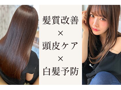 エル(ailes)の写真