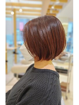 アデイ 大森店(AdAy) shorthair