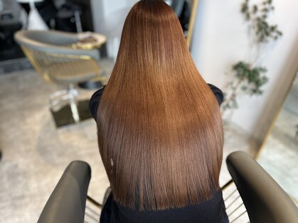 ブルーム(bloom)の写真