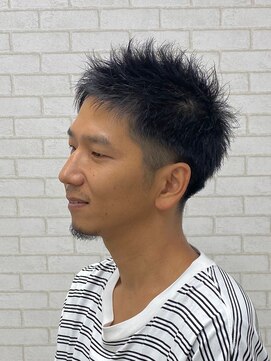 ルピナス(Lupinus) ツーブロック