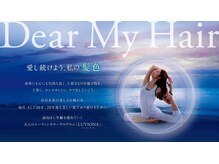 ヒビ(hibi)