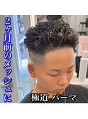 極道パーマ/メッシュ