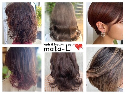 マターエル(mata L23)の写真