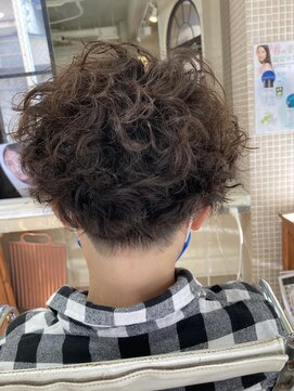 ウィル ボッサ 御茶ノ水 神保町(WILL bossa) ワイルドボーイ