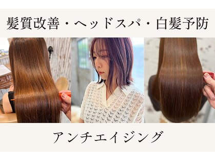 エル(ailes)の写真