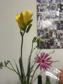 アルテペロ(arte pelo)&nbsp;お花からインスピレーション受けたりしますね！癒しも兼ねての！
