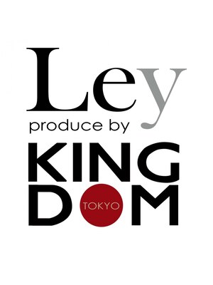 レイバイキングダム(Ley by KINGDOM)