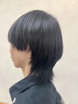 シーズンプラス(SEASON PLUS) 30代40代50代 白髪染め【SEASONPLUS 尾藤】デザインウルフNO13C