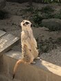 リコモ(Likkle More) 動物園よく行きます！動物は全般的に好きです！