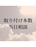 【取り付け本数当日相談】ダイヤモンド毛質80~100本 ¥27620～￥35820