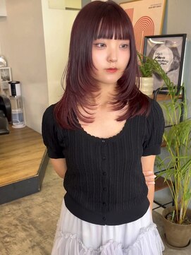 シーン(SCEN) layer cut × wine red
