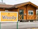 ウッディ(Woody)の写真