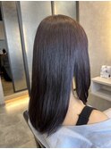 ハイライト　ダークバイオレット
