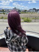 ピンクパープル