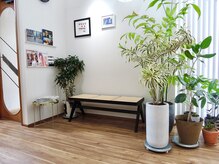 ヘイデイズ(HEY DAYS)の雰囲気（緑に囲まれた待合スペース）