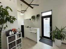 コームヘア(ko-mu hair)の雰囲気(店内は自然光が降り注ぐ明るくオープンなゆったり雰囲気◎)