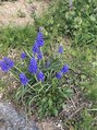 ふぉうとれす/ふぉうとれす