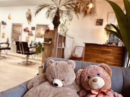 コッコエニシ(cocco ENISHi)の写真