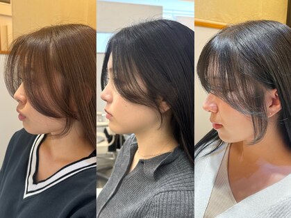 シェルパ(SHERPA)の写真
