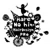 ハレノヒ(hare no hi)のお店ロゴ