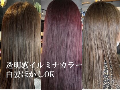リンダイーロ(Linda Hiro)の写真