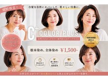 カラープラス 新居浜駅前店