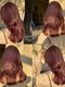 イノセンス 西宮北口店(innocence)の写真/骨格や顔タイプに合わせて似合うカットが得意・デザインカラーをご提案◎垢抜けを実現！髪質改善/ブリーチ