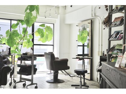 ドア(doa.)の写真