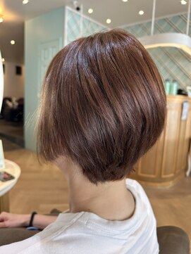 アンフィ 矢向(Anphi) 8-3 ショート