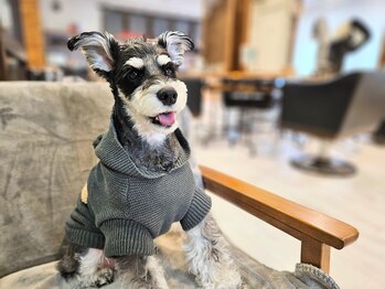 銀座LA・BO&SLEEKS