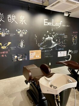 アポロ(Apollo)の写真/【髪と頭皮が10年後、20年後も健康でキレイに★】乾燥や日やけに弱い頭皮の角質層をトリートメントし整える