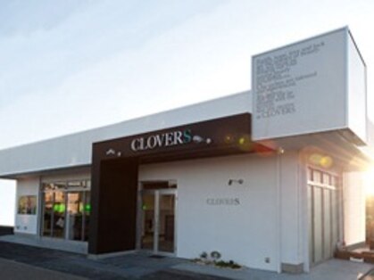 クローバーズ(CLOVERS)の写真