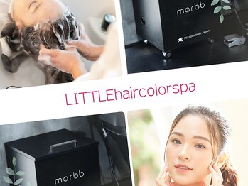 リトル(LITTLE)の写真/未来の髪に差を！ヒト幹細胞培養液とアーユルヴェーダハーブエキスの美容液「強髪」プログラムを始めます。